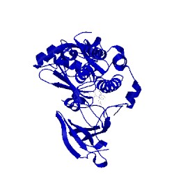 Image of CATH 5kcv