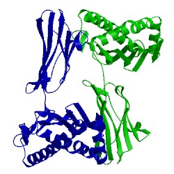 Image of CATH 5kd4