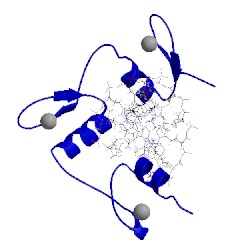 Image of CATH 5ke7