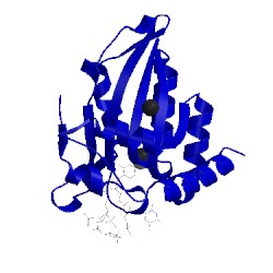 Image of CATH 5keg