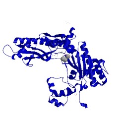 Image of CATH 5kg2