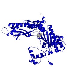 Image of CATH 5kg4