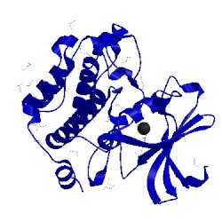 Image of CATH 5kgg