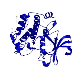 Image of CATH 5kgi