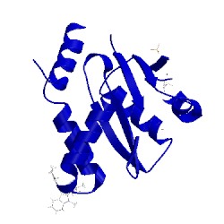 Image of CATH 5kgx