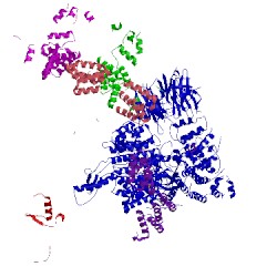 Image of CATH 5khr