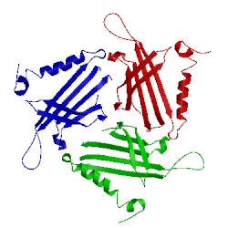 Image of CATH 5kip