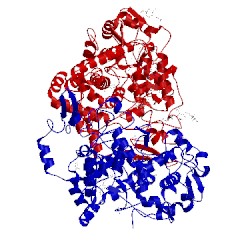 Image of CATH 5kir