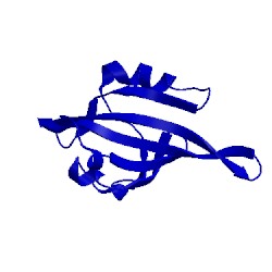 Image of CATH 5kiz