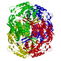 Image of CATH 5kj5