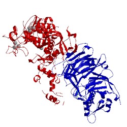 Image of CATH 5kjh