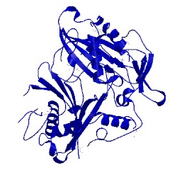 Image of CATH 5kjs