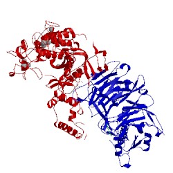 Image of CATH 5kkl