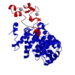 Image of CATH 5kl1