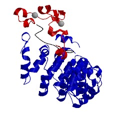 Image of CATH 5kl8