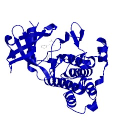 Image of CATH 5kmi
