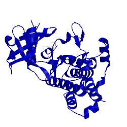 Image of CATH 5kmm