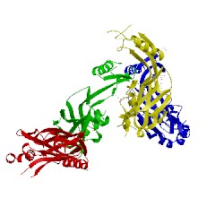 Image of CATH 5kmx