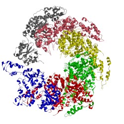 Image of CATH 5kne