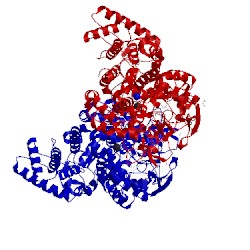 Image of CATH 5ksn