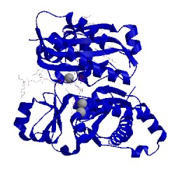 Image of CATH 5kt2