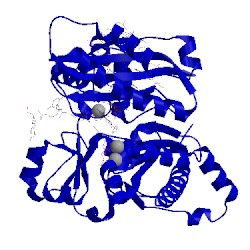 Image of CATH 5kt3