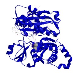 Image of CATH 5kt6