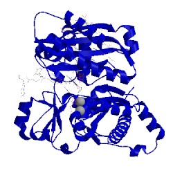 Image of CATH 5kt7