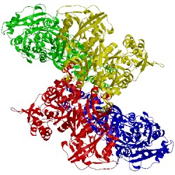Image of CATH 5kuf