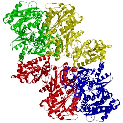 Image of CATH 5kuh