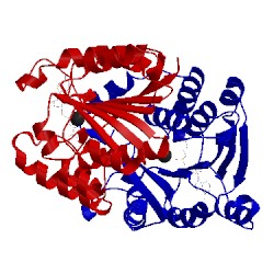 Image of CATH 5kva