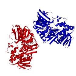 Image of CATH 5kvh