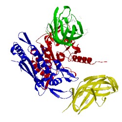 Image of CATH 5kwy