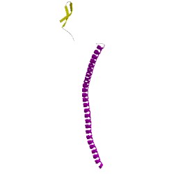 Image of CATH 5kx5E