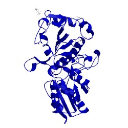 Image of CATH 5kxh