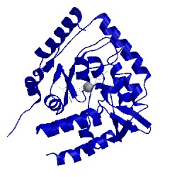 Image of CATH 5l01
