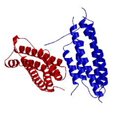 Image of CATH 5l0j