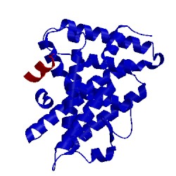 Image of CATH 5l11