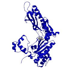 Image of CATH 5l1k