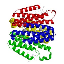 Image of CATH 5l32