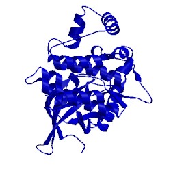 Image of CATH 5l3a