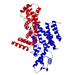 Image of CATH 5l3t