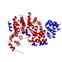 Image of CATH 5l3x