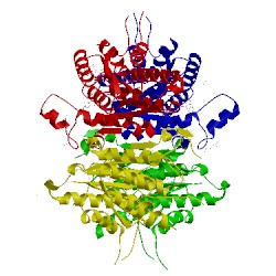 Image of CATH 5l42