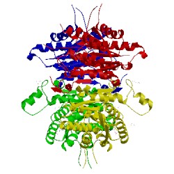 Image of CATH 5l4n