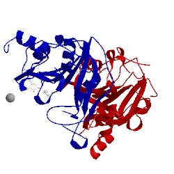 Image of CATH 5l6e