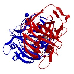 Image of CATH 5l6k