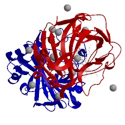 Image of CATH 5l6t