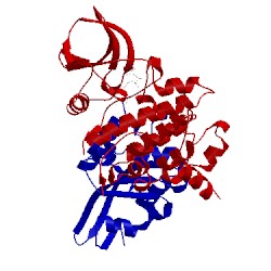 Image of CATH 5l6w