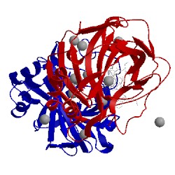 Image of CATH 5l70